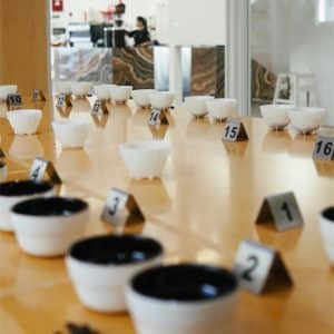 SCA Sensory Skills Foundation - Grandmother Roastery