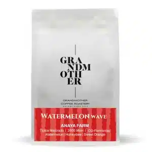 Watermelon wave coffee beans - Grandmother Roastery