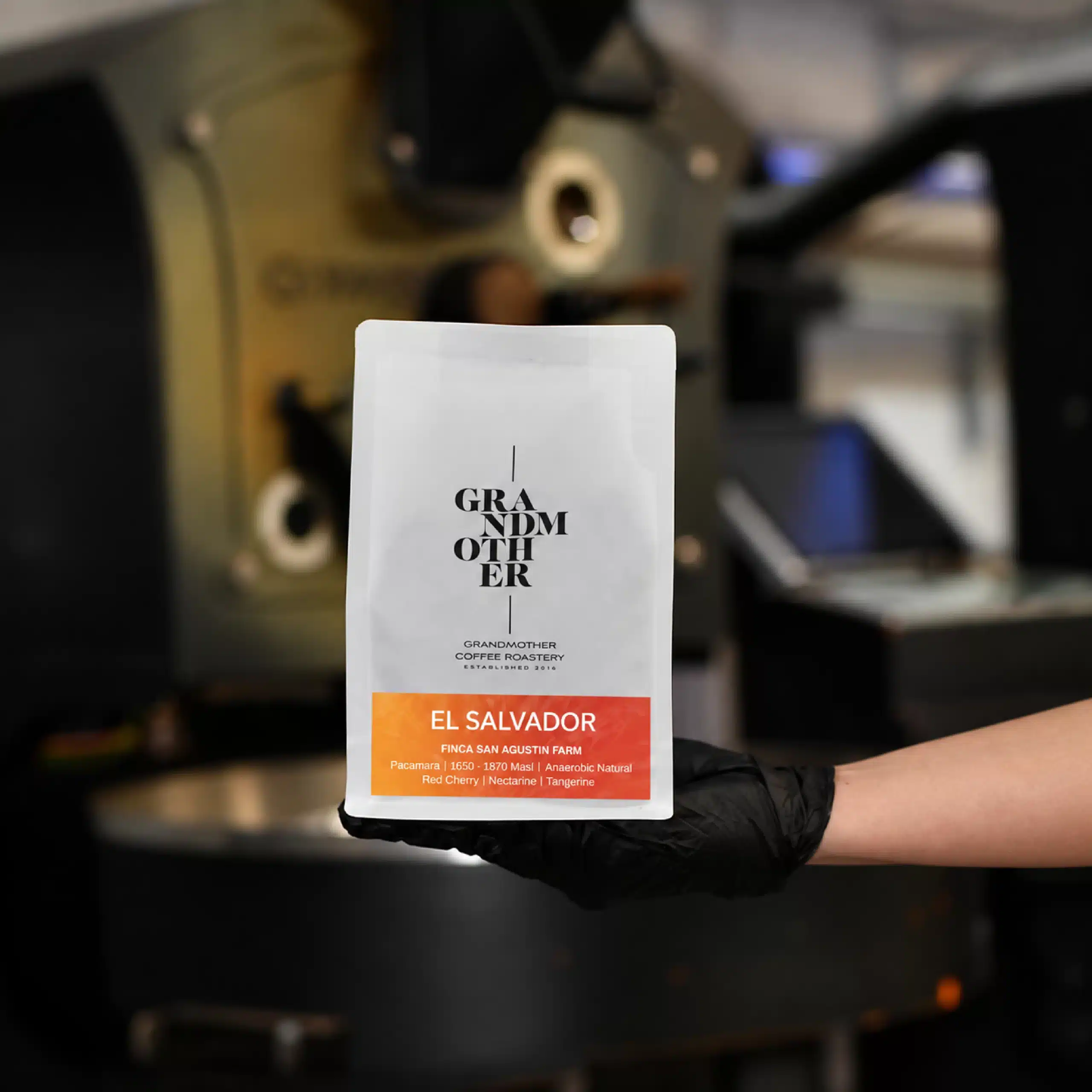 El Salvador Coffee Beans - Grandmother Roastery